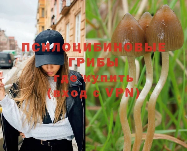 крисы Абаза