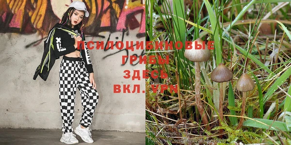 соль курить ск Абдулино