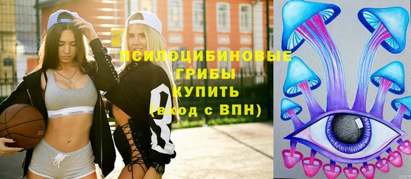 прущие грибы Алексеевка