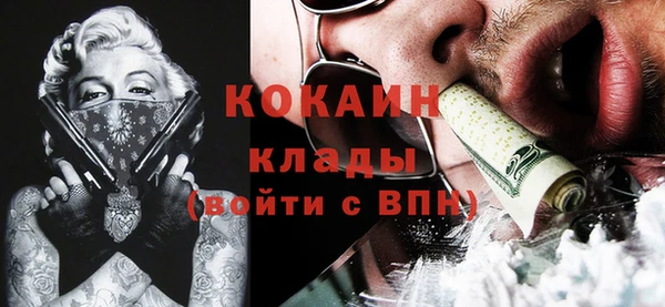 крисы Абаза