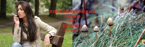 прущие грибы Алексин