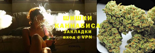 крисы Абаза